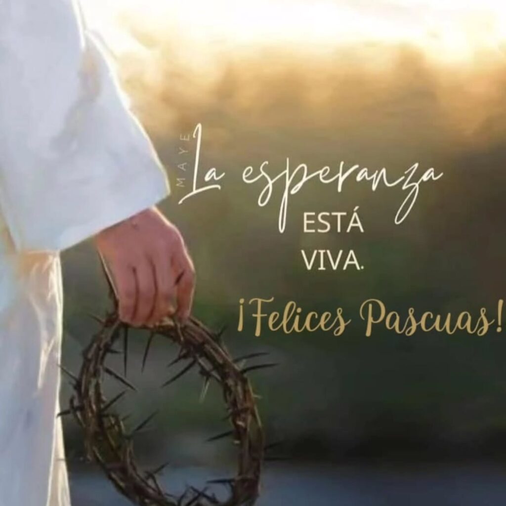 Instagram post from ciamariatgto. This post is in position 0.